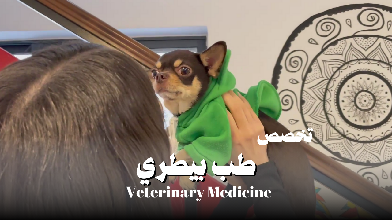 طب بيطري